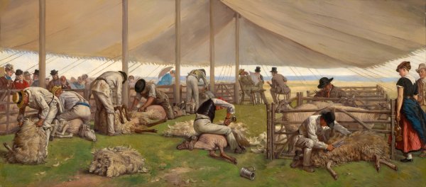 Main Product Photo of A sheep shearing match Painting by Eyre Crowe