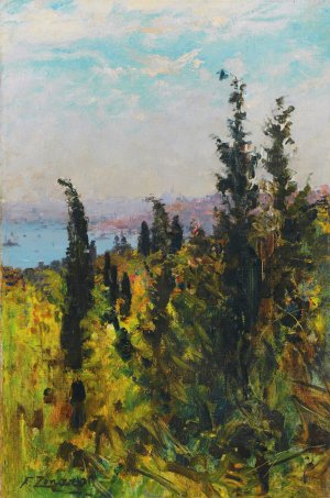 View Over The Golden Horn by Fausto Zonaro Oil Painting