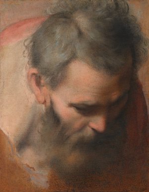 Head of Saint Joseph by Federico Barocci Oil Painting