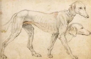 Studies of a Greyhound by Federico Zuccaro - Oil Painting Reproduction