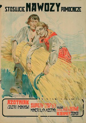 Stosujcie nawozy pomocnicze by Feliks Michal Wygrzywalski Oil Painting