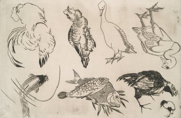 Canards, poissons, etc  by Felix Bracquemond - Hand-Painted Oil Painting Reproduction