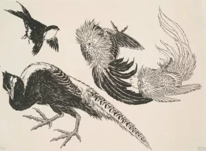 Faisans, oiseaux by Felix Bracquemond Oil Painting