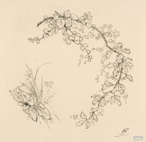 Feuille de chene Oil painting by Felix Bracquemond