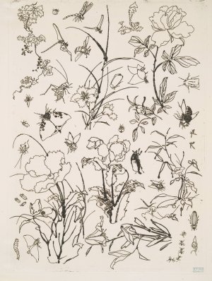 Fleurs et insectes by Felix Bracquemond Oil Painting