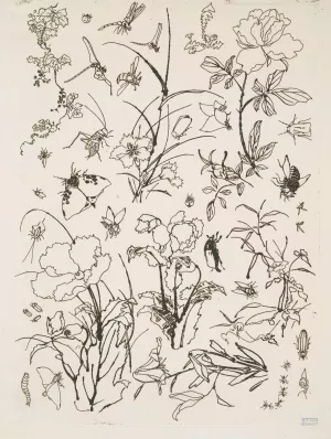 Fleurs et insectes by Felix Bracquemond Oil Painting