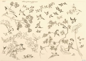 Fleurs et oiseaux japonais Oil painting by Felix Bracquemond