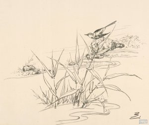 Oiseau sur une pierre, devant des roseaux Oil painting by Felix Bracquemond