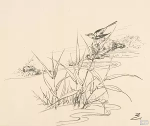 Oiseau sur une pierre, devant des roseaux by Felix Bracquemond Oil Painting