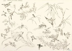 Oiseaux et fleurs japonais by Felix Bracquemond Oil Painting
