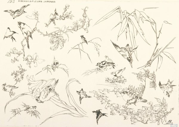 Oiseaux et fleurs japonais  by Felix Bracquemond - Hand-Painted Oil Painting Reproduction