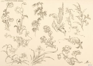 Oiseaux et fleurs japonais by Felix Bracquemond Oil Painting