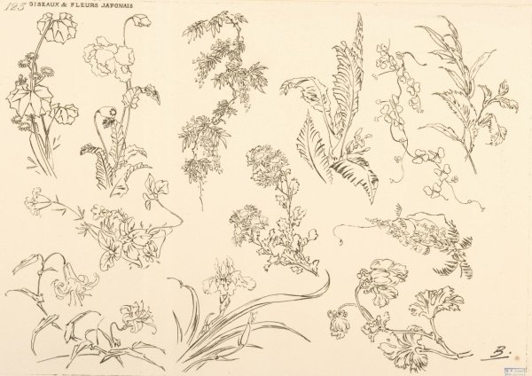Oiseaux et fleurs japonais  by Felix Bracquemond - Hand-Painted Oil Painting Reproduction