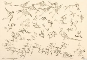Oiseaux japonais by Felix Bracquemond Oil Painting