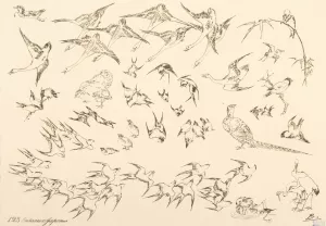 Oiseaux japonais by Felix Bracquemond Oil Painting