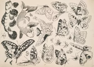 Papillons et poissons by Felix Bracquemond Oil Painting