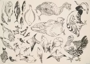 Poissons, oiseaux, poussin by Felix Bracquemond Oil Painting