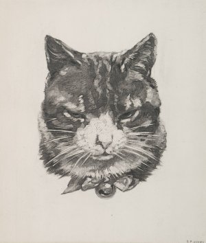 Tete de chat by Felix Bracquemond Oil Painting