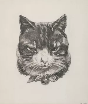 Tete de chat Oil painting by Felix Bracquemond