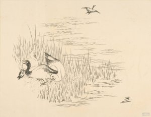 Trois canards et un quatrieme qui vole by Felix Bracquemond Oil Painting