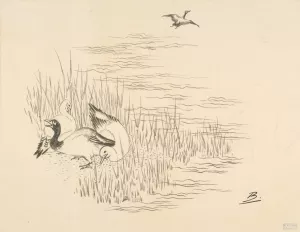 Trois canards et un quatrieme qui vole Oil painting by Felix Bracquemond