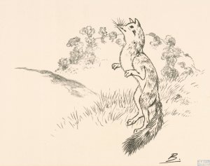 Un rennard sur ses pattes de derriere by Felix Bracquemond Oil Painting