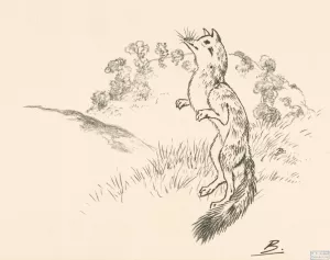Un rennard sur ses pattes de derriere by Felix Bracquemond Oil Painting