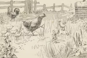 Kip en kuikens in een omheind veld Oil painting by Felix Hess