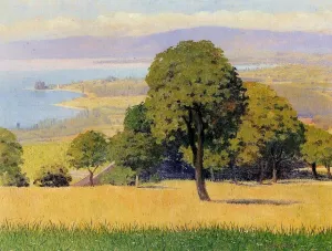 Outskirts of Lausanne Oil painting by Felix Vallotton