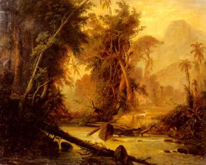A Tropical Forest In Venezuela Oil painting by Ferdinand Bellerman
