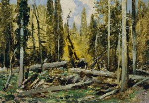 Bohmerwald by Ferdinand Engelmuller Oil Painting