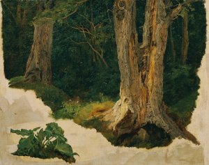 Baumstudie by Ferdinand Georg Waldmuller Oil Painting