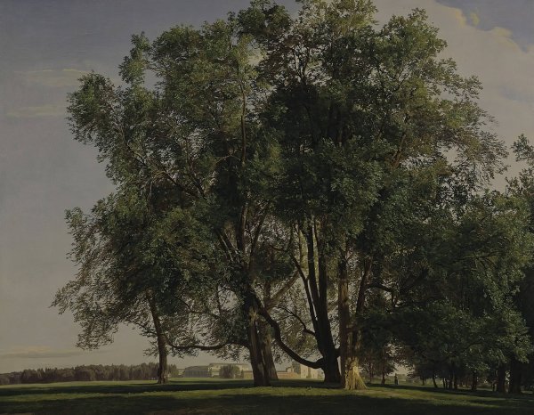 Main Product Photo of Prater Landscape  Painting by Ferdinand Georg Waldmuller