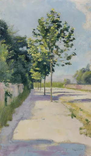 Street of St. Georges by Ferdinand Hodler Oil Painting