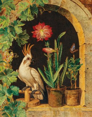 A Cockatoo at the Window with Blooming Cactus and Butterfly by Ferdinand Kuss Oil Painting