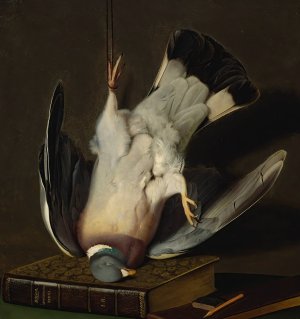 A Dead Wood Pigeon by Ferdinand Von Wright Oil Painting
