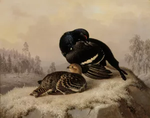 Black Grouse, Cock And Hen by Ferdinand Von Wright Oil Painting