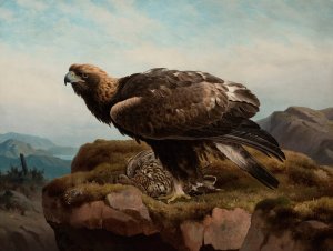 Golden Eagle At A Cliff's Edge by Ferdinand Von Wright Oil Painting