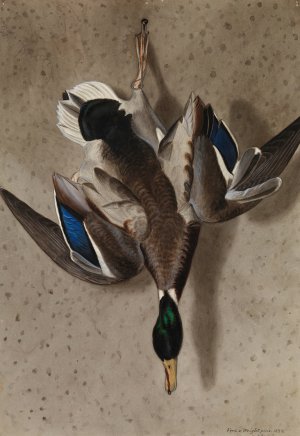 Hanging Mallard by Ferdinand Von Wright Oil Painting