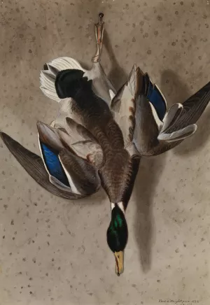 Hanging Mallard by Ferdinand Von Wright Oil Painting