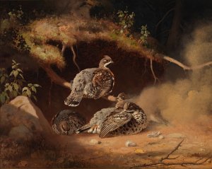 Hazel Grouse Wallowing In Sand by Ferdinand Von Wright Oil Painting