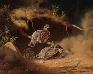 Hazel Grouse Wallowing In Sand by Ferdinand Von Wright Oil Painting