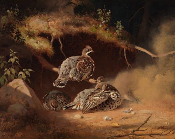 Main Product Photo of Hazel Grouse Wallowing In Sand  Painting by Ferdinand Von Wright