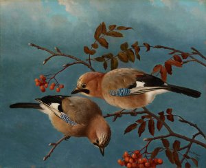 Jays by Ferdinand Von Wright Oil Painting