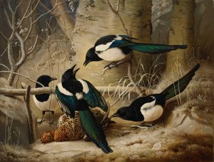Magpies Round A Dead Female Capercaillie by Ferdinand Von Wright Oil Painting