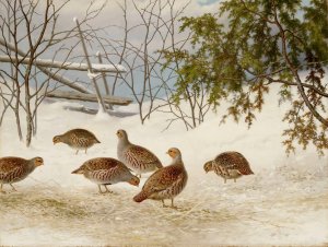 Partridges In Snow by Ferdinand Von Wright Oil Painting