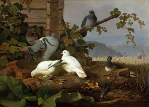 Pigeons by Ferdinand Von Wright Oil Painting