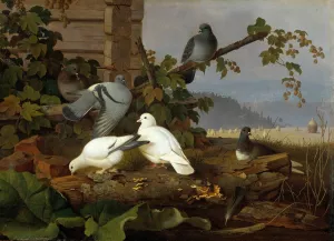Pigeons by Ferdinand Von Wright Oil Painting
