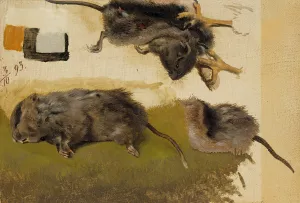 Rodents by Ferdinand Von Wright Oil Painting