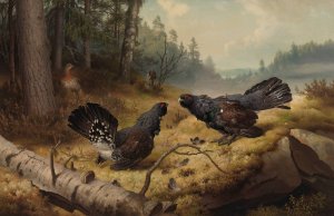 The Fighting Capercaillies by Ferdinand Von Wright Oil Painting